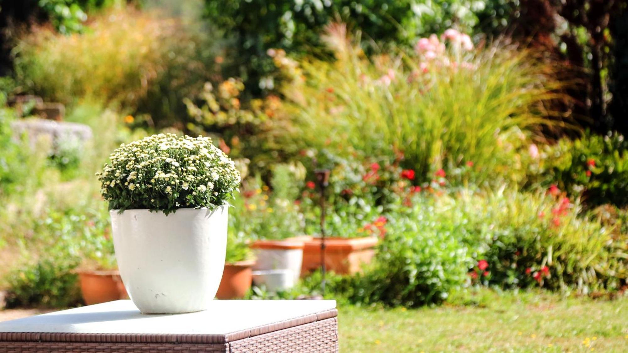 Ferienwohnung Jung Und Lind Bretten Εξωτερικό φωτογραφία